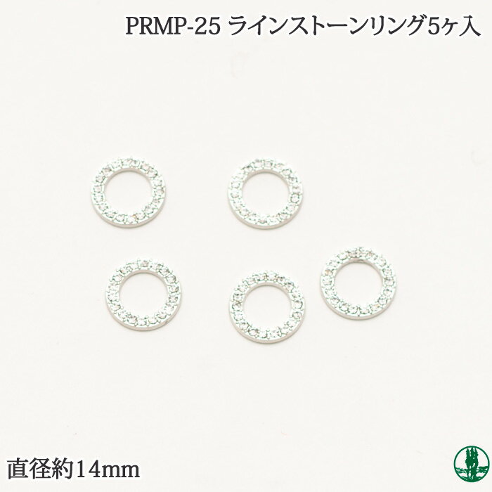 PRMP-25 饤󥹥ȡ󥰡5 ӻΥݥץ