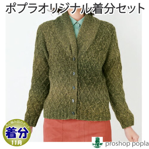 【秋冬】斜め格子模様の衿つきカーディガン【中級者】【編み物キット】