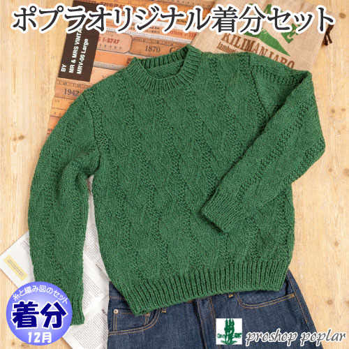 【秋冬】地模様メンズプルオーバー【中級者】【編み物キット】毛糸のポプラ