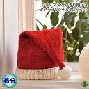 【秋冬】クリスマスなりきり帽子A【中級者】【編み物キット】 毛糸のポプラ