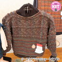 【秋冬】リーフとアランのショート丈プル【中級者】【編み物キット】