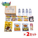 尾西食品 長期保存食セット 3日分(計13個セット)×2箱 保存食 非常食 防災グッズ
