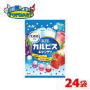 ■内容量 100g（個装紙込み)×24袋 ■原材料 砂糖(国内製造)、水飴(国内製造)、食用油脂、殺菌乳酸菌飲料(乳成分を含む)、殺菌乳酸菌飲料粉末、もも濃縮果汁、ぶどう濃縮果汁、いちご濃縮果汁、殺菌乳酸菌紛末／酸味料、乳化剤、香料、着色料(アントシアニン、クチナシ) ■栄養成分 1製品(96g)当たり エネルギー：383kcal たんぱく質：0g 脂質：2.1g 炭水化物：91g 食塩相当量：0g ★製造時配合(96g当たり) 殺菌乳酸菌粉末：1mg ※1粒(標準4.0g)は16kcal ■備考 カルピス®のさわやかな味わいがお楽しみいただけるキャンディです。 カルピス®(白)、ぶどう、もも、いちごの4 種アソートです。 乳酸菌を配合しています。 「カルピス」「CALPIS」はアサヒ飲料(株)の登録商標です。 アサヒグループ食品 カルピス キャンディ あめ 飴 菓子 ぶどう もも いちご 乳酸菌