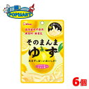 【限定クーポン配布中】ライオン菓子 そのまんまゆず 6個セット 送料無料 ドライフルーツ