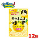 【限定クーポン配布中】ライオン菓子 そのまんまゆず 12個セット 送料無料 グミ