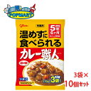グリコ 常備用カレー職人 中辛 3食パック 170g×3食×10セット 5年保存 レトルト 保存食 非常食 常備用 備蓄 防災 常温で食べられる ローリングストック