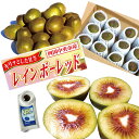 レインボーレッドキウイ Mサイズ約12個(約1Kg) レインボーレッドキウイ Mサイズ約12個(約1Kg)