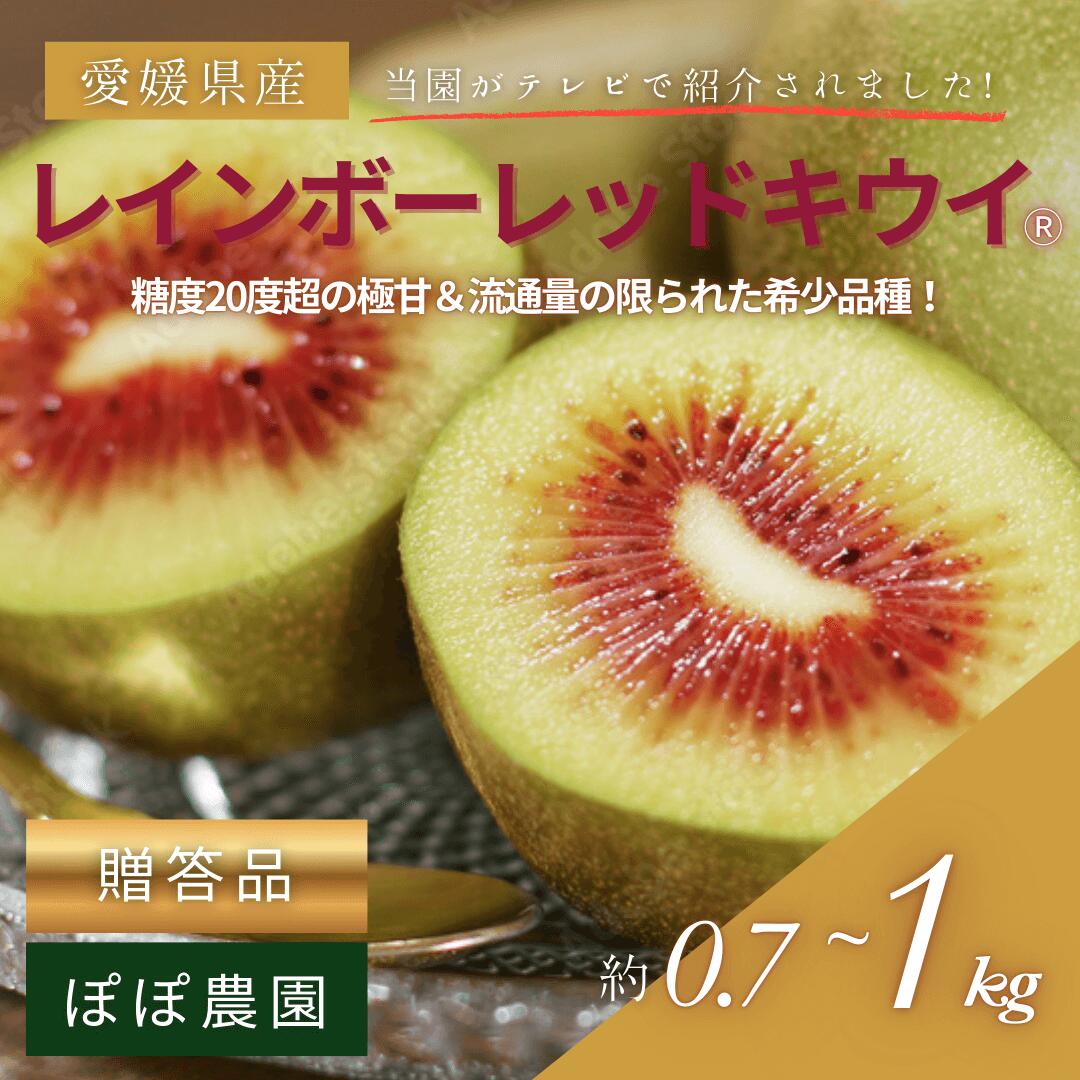 【産地直送】【贈答用黒箱】レインボーレッドキウイ 2L〜4Lサイズ(約0.7kg〜約1.0kg)【ぽぽ農園】※北海道・沖縄・離島は追加送料あり