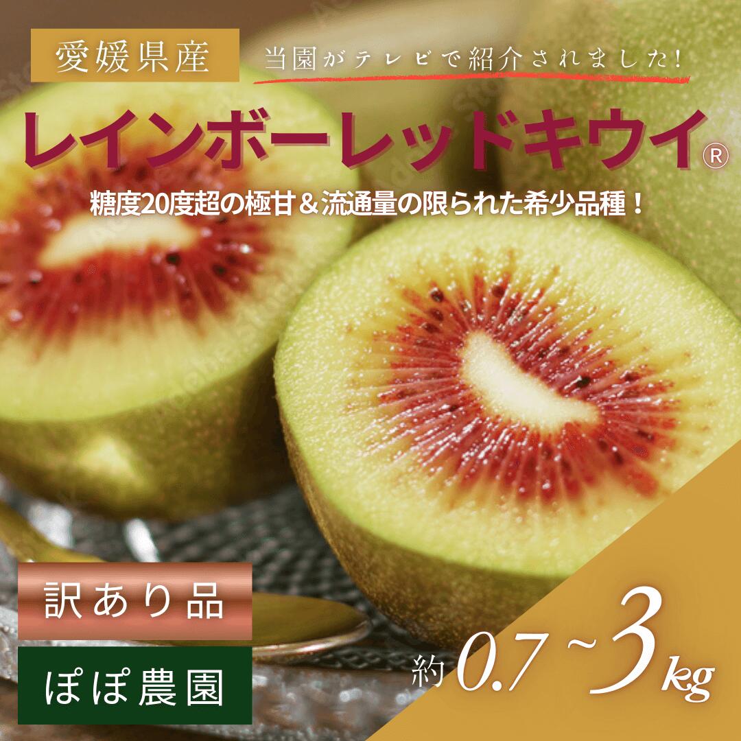 【ブラックフライデー 7%OFF(一部商品)】【訳あり】【産地直送】レインボーレッドキウイ M〜4Lサイズ (約0.7kg〜約3.0kg) 【ぽぽ農園】※北海道...