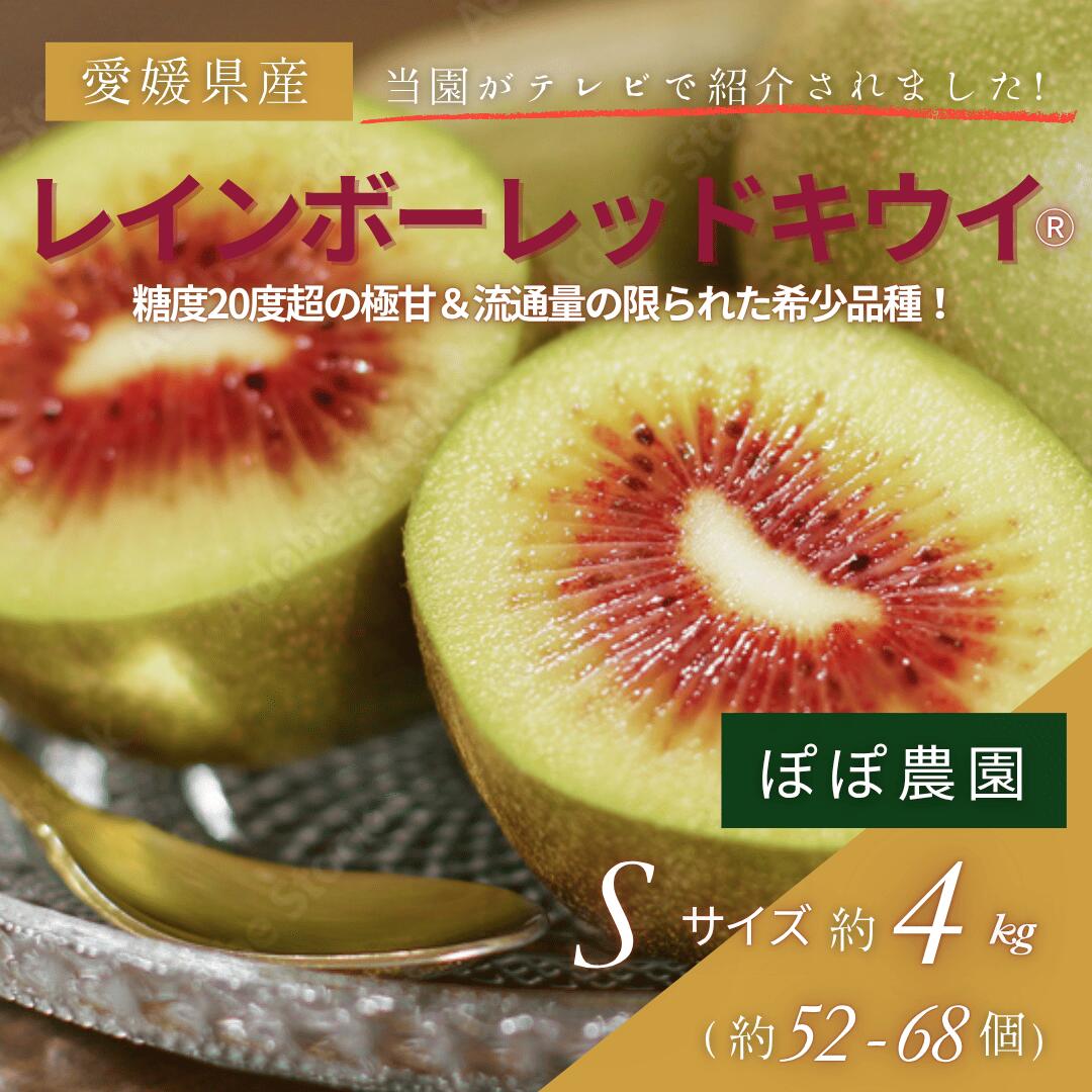 【ブラックフライデー 7%OFF】【産地直送】レインボーレッド キウイ Sサイズ (約4.0kg) 【ぽぽ農園】※北海道・沖縄・離島は追加送料あり
