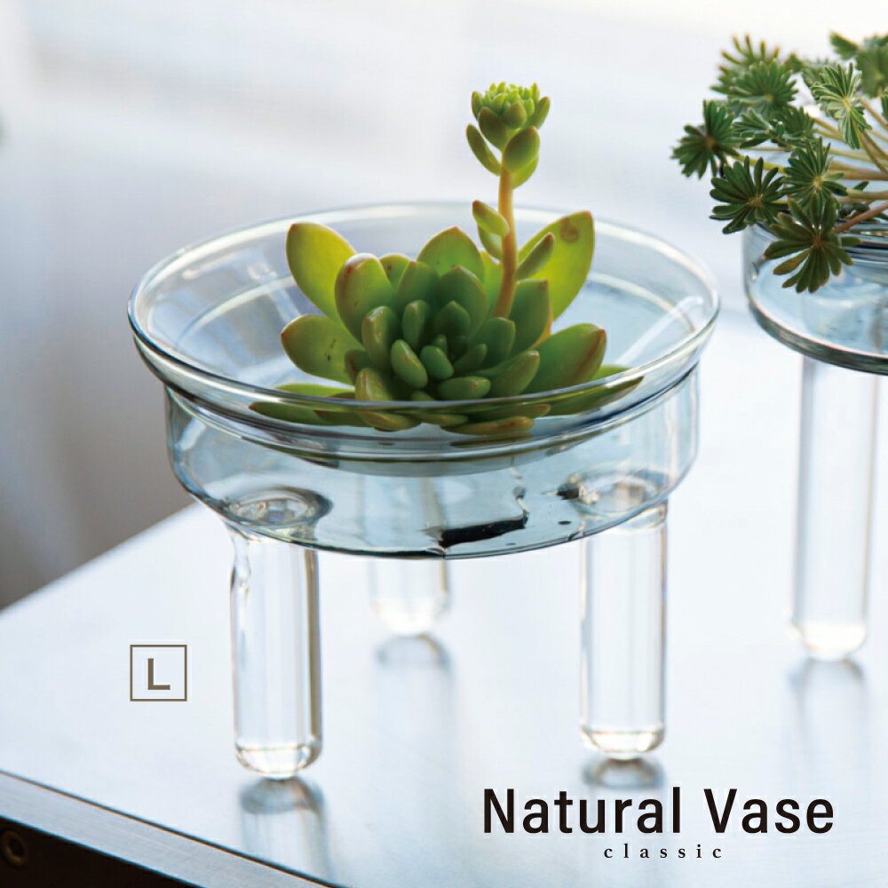 【Natural Vase クラシック】北欧 花瓶 一輪挿し おしゃれ 水栽培花瓶 水耕 水耕栽培 球根 水栽培 観葉植物 一輪挿し 小さめ インテリア 雑貨 水耕栽培 多肉植物 花器 フラワーベース 北欧 オシャレ 母の日 贈り物 プレゼント おうち時間のサムネイル