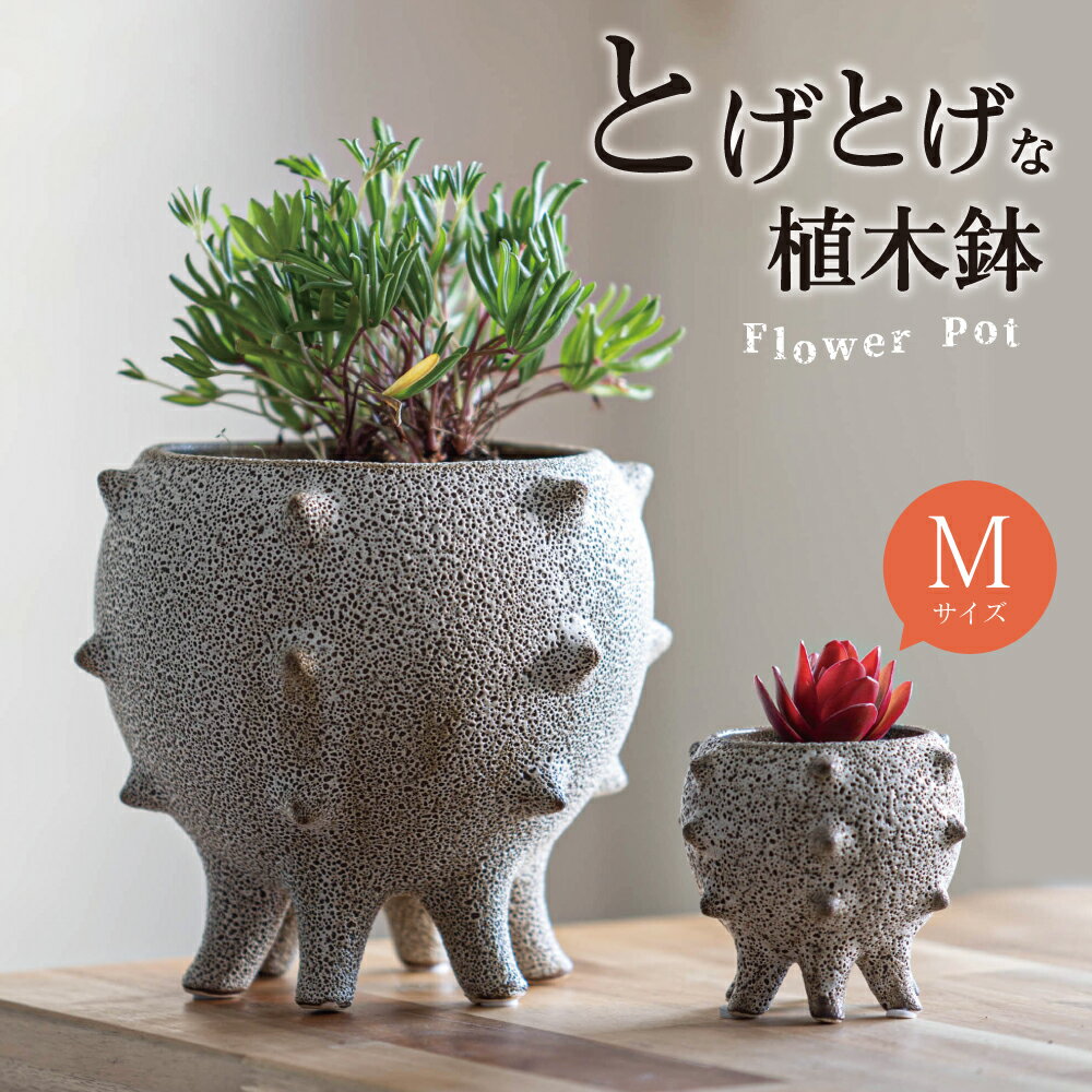＼ユニークなカタチで話題！／植木鉢 ポット 多肉植物 サボテン フラワーポット ガーデニング おしゃれ インテリア 北欧 贈り物 癒しグッズ かわいい 誕生日 プレゼント 母の日 誕生日 模様替え 部屋 インテリア お洒落 シンプル 個性的 面白い 丸型 恐竜 ポット 可愛いのサムネイル