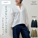 リボン刺繍レース切替ブラウス/piacere ピアッチェーレ トップス ブラウス シャツ 長袖 袖デザイン 立体袖 ぽわん袖 パフスリーブ Vネック タック シアー シースルー 総柄 コードレース リボンデザイン 立体 フリル コード刺繍 レース グレー 灰色 ブラック 黒 P25504