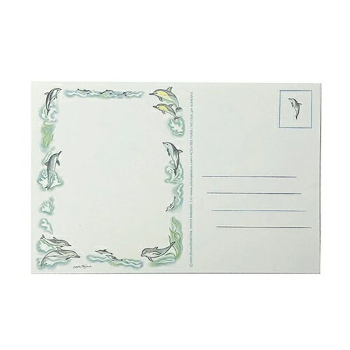 フォトポスト ドルフィン 【8枚入り】 821 インポート デッドストック 輸入 レア カード ポストカード ..