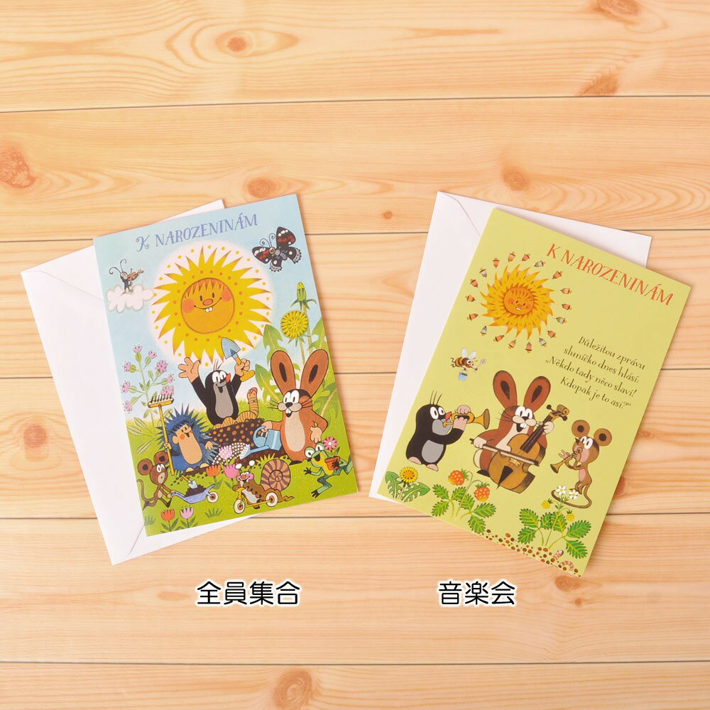 クルテク バースデーカード (音楽会) ALBI87804M pud497 Krtek チェコ 誕生日カード メッセージ Birthday おしゃれ かわいい ...
