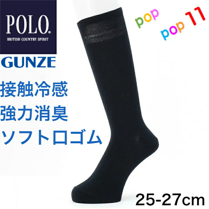 POLO ポロ BCS ビーシーエス ビジネスソックス ソフト口ゴム 無地 ワンポイント シンプル 25-27センチ 春夏 夏用 メンズ 男 定番ソックス ビジネス カジュアル 履きぐちゆったり 強力消臭加工 つまさき補強 かかと補強 デオドラント加工 父の日 GUNZE グンゼ PL0106