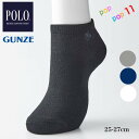 POLO BCS ポロ グンゼ ソックス スニーカー丈 靴下 25-27センチ アーチサポート 土踏まず 押しあげ効果 甲メッシュ 吸汗速乾 珪藻土 紳士 メンズ 男性 25 26 27 GUNZE PBX083