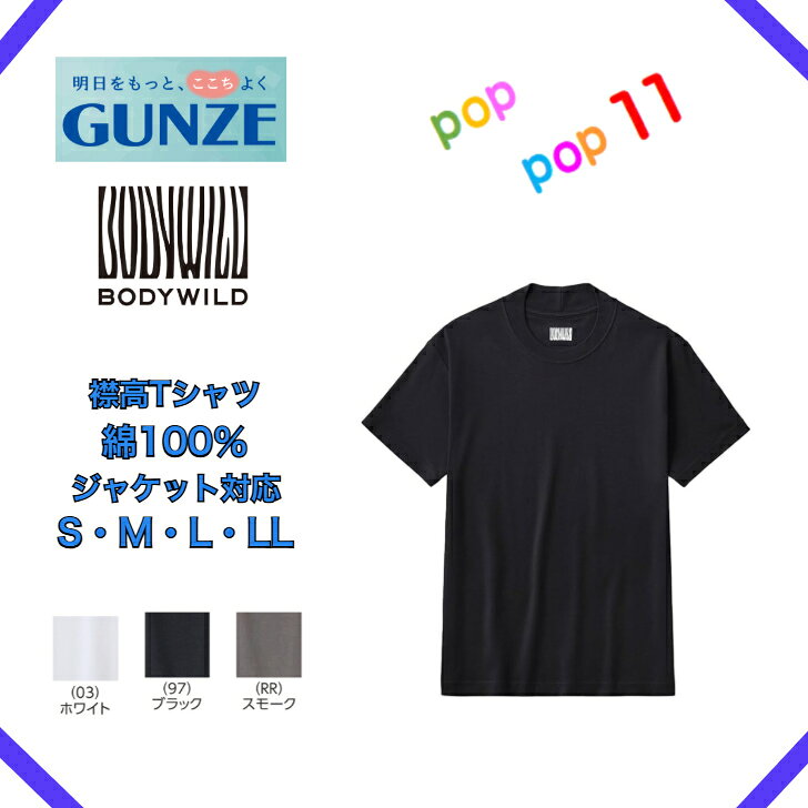 樂天商城 - グンゼ 襟高Tシャツ メンズ 年間 ボディワイルド 綿100％コットン 厚地 S M L LL スムース 丸首 襟高 ジャケット対応 天竺 GUNZE BODY WILD 汗ジミ防止 アウターT ぐんぜ BW6912Z