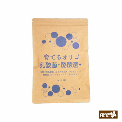 オリゴ糖 高純度 育てるオリゴ乳酸菌酪酸菌プラス 粉末 個別包装5g×30包 有胞子性乳酸菌 生菌 難消化性オリゴ糖 北海道産 ビートオリゴ糖 ラフィノース ケストース フラクトオリゴ糖 サプリ 腸活 菌活 クロストリジウムブリチカム ビフィズス菌 フィーカリバクテリウム