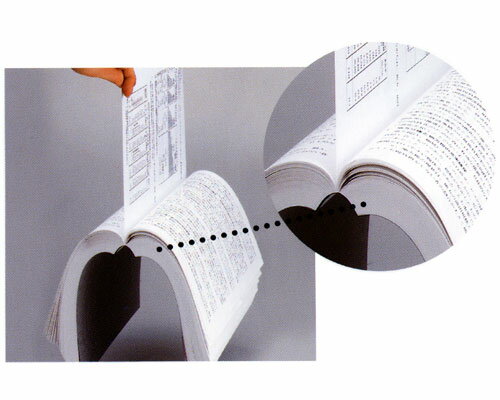 POWIS fast back model20 �ե��ݥ��ȥХå�����ǥ�20��FB20