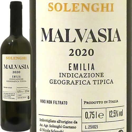 エミリア・マルヴァジーア[2020]ソレンギ・ガエターノEmilia Malvasia 2020 Solenghi Gaetanoイタリア エミリア・ロマーニャ 白ワイン 光が丘興産 自然派