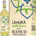 I[KjbNErAR[2022] [Organic Bianco 2022 LamuraC^A V`A C B[mtF[`F