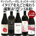 【送料無料・クール便も無料】サンジョヴェーゼも、ネッビオーロも!人気の品種を網羅、イタリアを丸ごと味わう縦断赤ワイン5本組 イタリア 赤5 イタリアワインセット