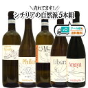【送料無料・クール便も無料】圧倒的コスパ!シチリア自然派ヴァルディベッラ5本組 赤白5本組 イタリア 白4赤1 イタリアワインセット