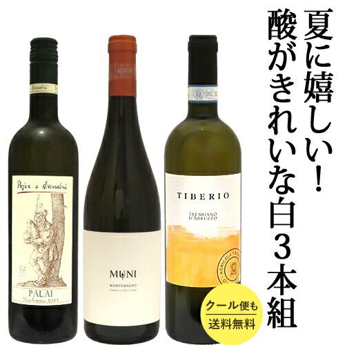 【送料無料 クール便も無料】夏に嬉しい!酸がきれいな白ワイン3本組 イタリア 白3 イタリアワインセット