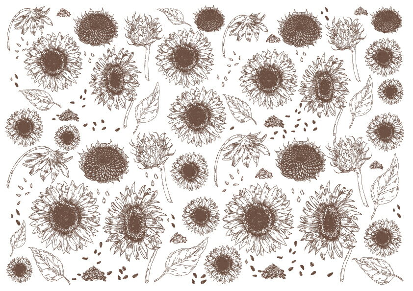 ポーセラーツ 転写紙 【白磁用】ひまわり転写紙 ブラウン 向日葵 ヒマワリ フラワー ポーセラーツ ポーセリンアート用 かわいい ポーセラーツ転写紙 オリジナル...