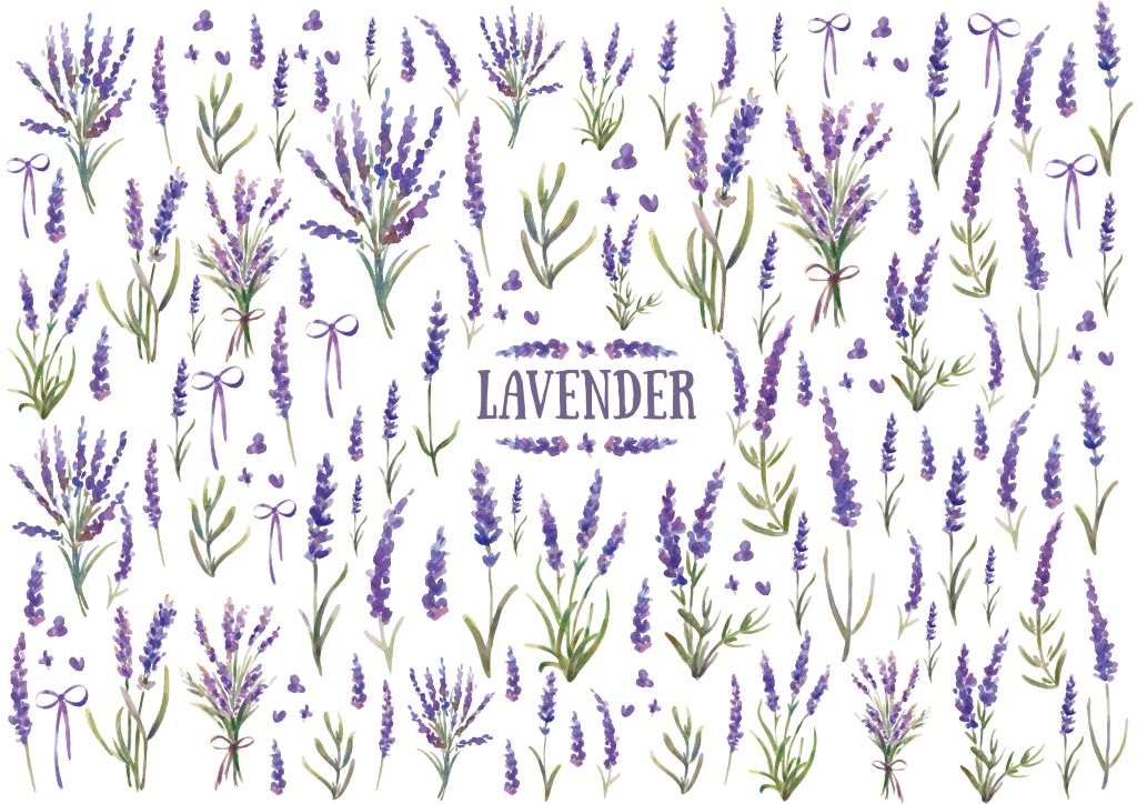 ポーセラーツ 転写紙 【セット割】ラベンダー転写紙 白磁&ガラス用セット パープル ポーセラーツ ポーセリンアート用 かわいい オシャレ ポーセリン パリ ポー...