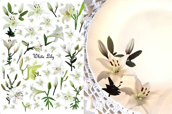 ポーセラーツ 転写紙 【白磁用】ホワイトリリー転写紙 白百合 転写紙 ポーセラーツ ポーセリンアート用 かわいい オシャレ ポーセリン ポーセラーツ転写紙 フラ...