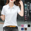 ポロシャツ レディース 半袖 Vネック ボタン tシャツ 夏 トップス カットソー ロングTシャツ スリム インナー 柔らか 薄手 無地 オーバーサイズ ナチュラル きれいめ 春 夏 秋