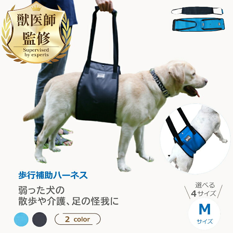 【楽天1位 / 獣医師監修・推薦】 犬 介護 ハーネス 歩行補助 ペット 犬 シニア犬 老犬 介護用 ハーネス 歩行補助 介助 ハーネス Mサイズ ペット シニア 犬 後足 リハビリ ドッグ 障害 サポート トイレ補助 車乗せ リフトハーネス ブルー グレー リード
