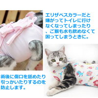 【送料無料】 ペット術後服 猫用 3サイズ 5カラー エリザベスカラー代替品 コットン 傷口保護 傷舐め 引っかき防止 介護服 皮膚保護 猫 舐め 防止 術後服