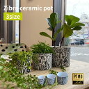 PTMD Zibra ゼブラ シマウマ 鉢カバー プランターカバー 植木鉢 観葉植物 ガーデン ガーデニング モダン ユニーク おしゃれ 人気
