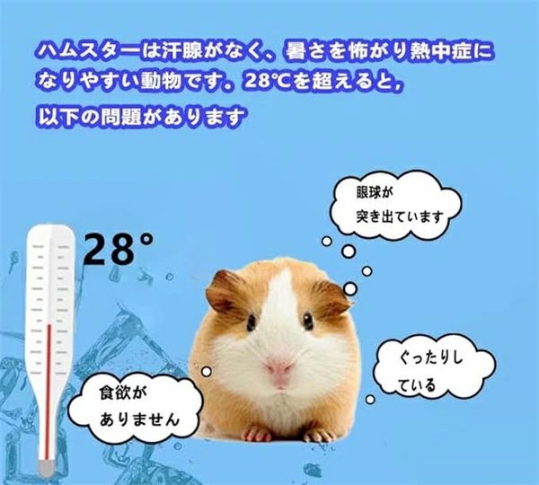 thum2