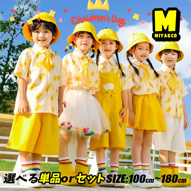 imgrc0116031865.jpg