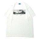 ミュージック MUSICK LIFESTYLE PALM PHOTO S/S Tシャツ WHITE / ホワイト 半袖 Tシャツ パームツリー ロサンゼルス LA