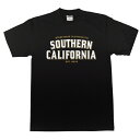 ストリートワイズ STREETWISE THE SC S/S Tシャツ BLACK / ブラック ヘビーウェイト 半袖 シャツ(4)