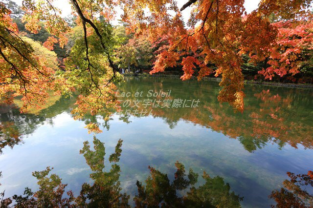 【日本の風景ポストカードAIR】長野県軽井沢雲場池の紅葉の葉書ハガキはがき photo by MIRO