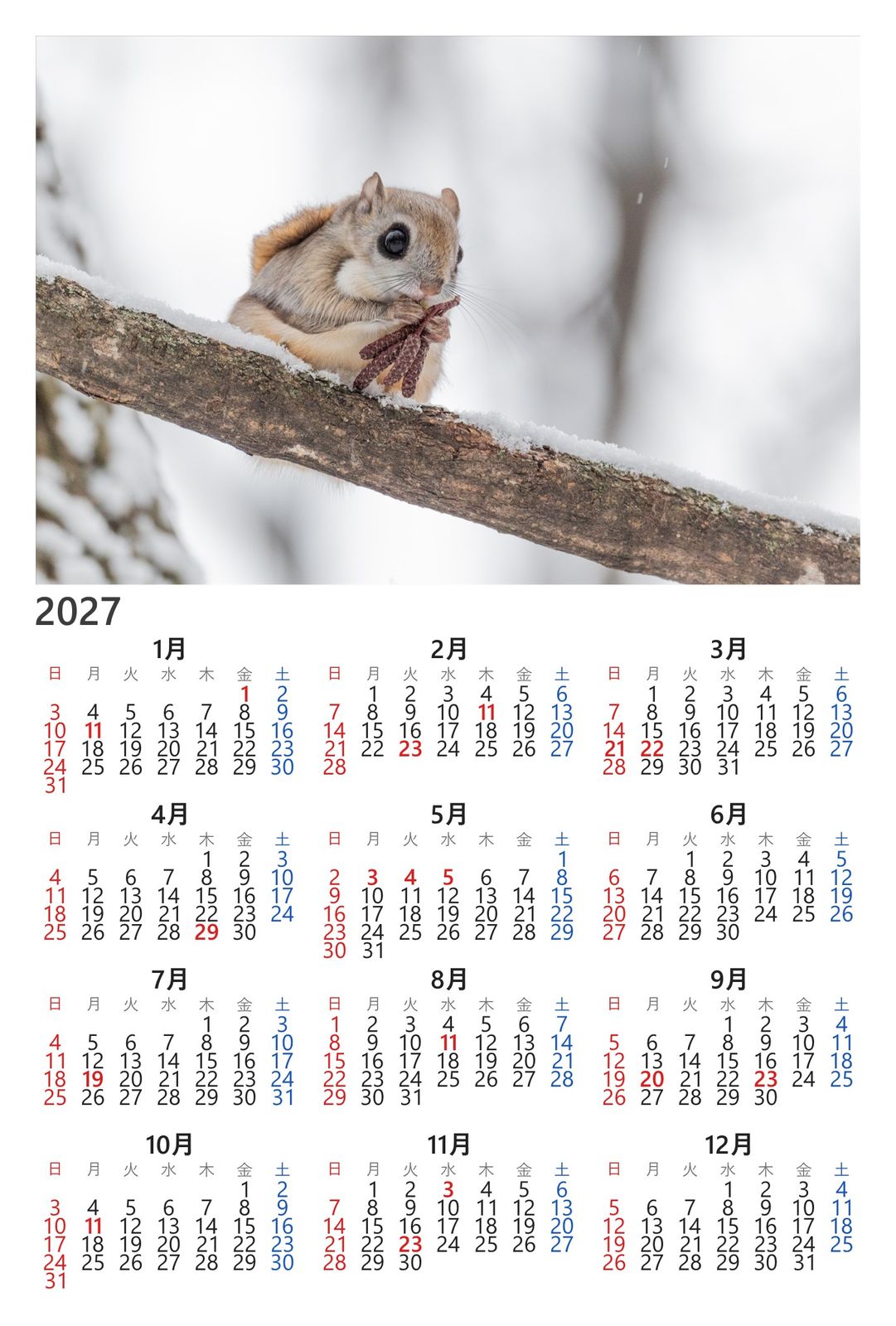 2027年 カレンダーポストカード（1枚）【2027年 カレンダーポストカード 1枚】【動物のポストカード】北海道網走 冬枯れの枝先で芽を頬張るエゾモモンガ はがき お土産 ハガキ 撮影/daikegoro写真と2027年のカレンダーを1枚にした、はがきサイズのポストカードです。お届けする絵柄は商品画像をご確認ください。【仕様】内容：ポストカード1枚サイズ：100mm×148mm厚さ：0.33mm用紙：両面マット紙日本製筆記用具で宛名面に書き込みができます。お使いのモニターにより、実際の商品と色味が異なる場合があります。