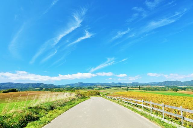 【日本の風景ポストカードLac et Soleil】北海道上川郡美瑛の秋の青空の葉書1はがきハガキ 撮影/YOSHIO IWASAWA