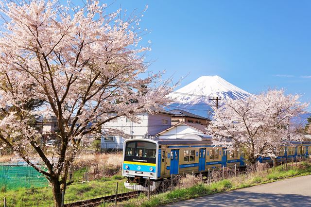 ݥȥAIR㤨֡ܤŴƻݥȥLac et Soleilۻٻε޹ٻλϼŵŴƻ6000Ϥٻλ3ΤϤϥ /YOSHIO IWASAWAפβǤʤ165ߤˤʤޤ