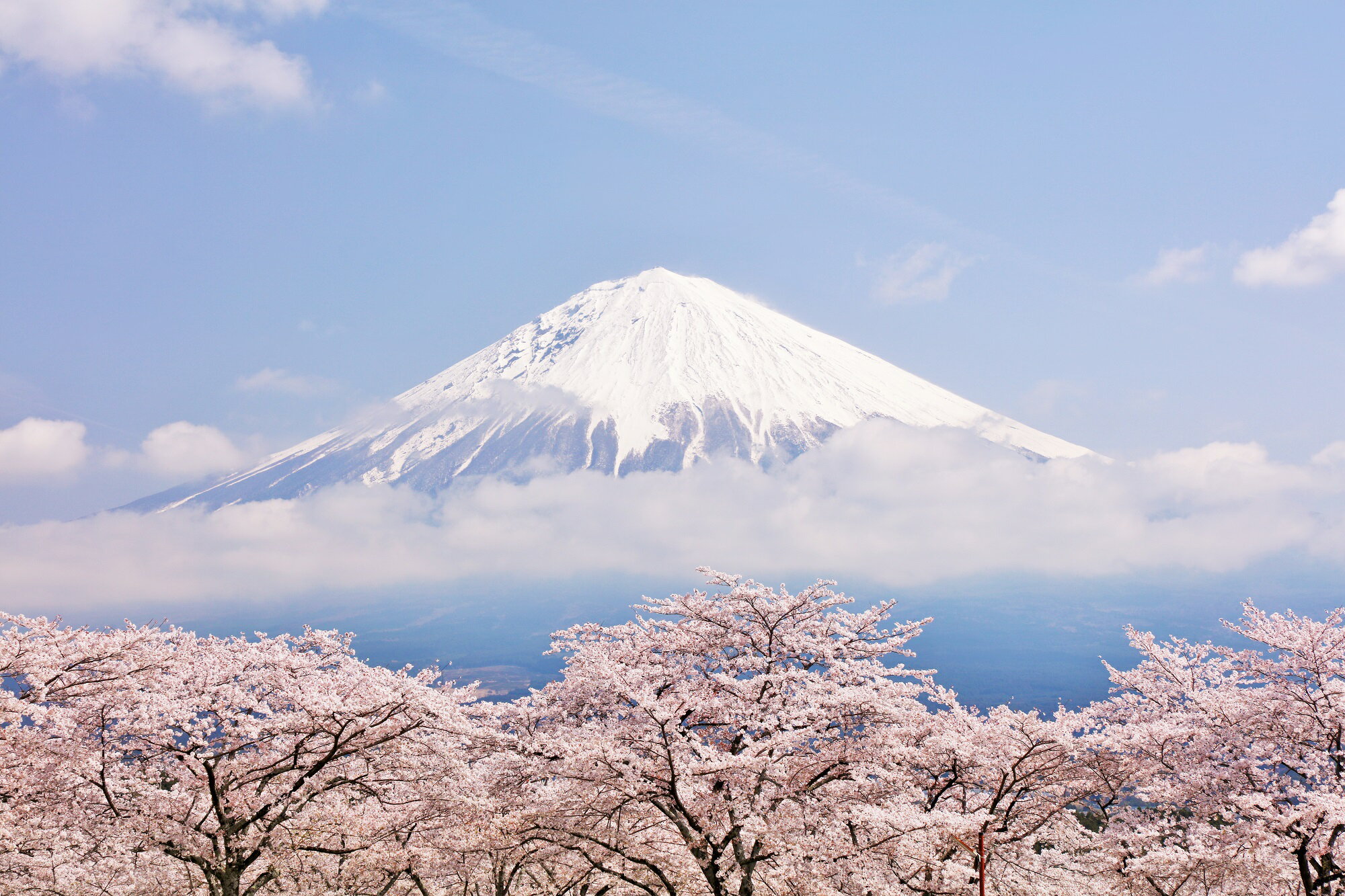 【日本の風景ポストカードLac et Soleil】山梨県　春