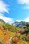 【日本の風景ポストカードAIR】北海道　秋の十勝岳のはがきハガキ葉書 撮影/YOSHIO IWASAWA