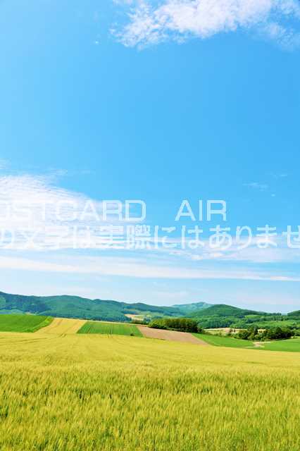 【日本の風景ポストカードAIR】北海