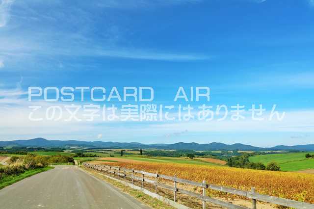 【日本の風景ポストカードAIR】北海道　秋の美瑛のはがきハガキ葉書 撮影/YOSHIO IWASAWA