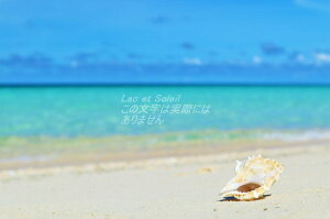 【日本の風景ポストカードLac et Soleil】沖縄 与那覇前浜の海 砂浜と貝殻のはがきハガキ葉書 撮影/YOSHIO IWASAWA