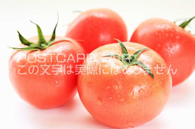 【食のポストカードAIR】トマトのはがきハガキ葉書 撮影/YOSHIO IWASAWA